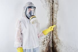 Asbestos and Lead Testing During Mold Inspection in Spindale, NC